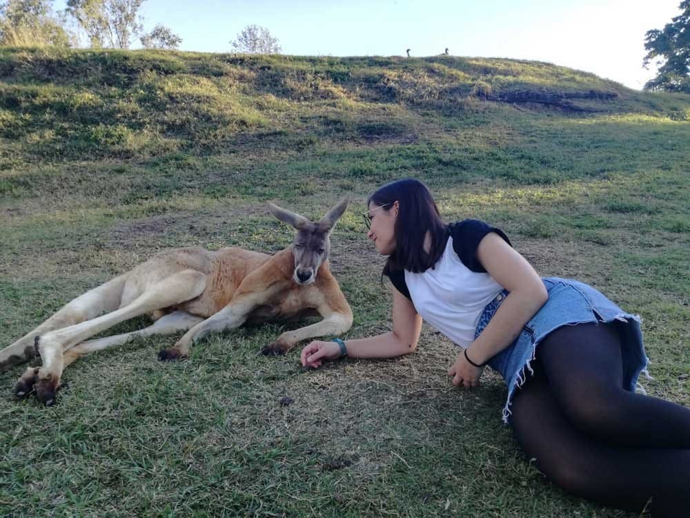 work and holiday visa chica morena estirada en el césped y delante un canguro
